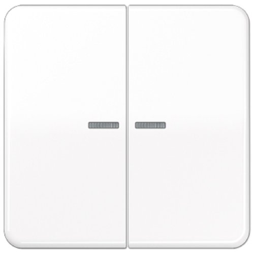 Лицевая панель Jung CD500 для 2-кл. выключателя с подсветкой белый фото Лицевая панель Jung CD500 для 2-кл. выключателя с подсветкой белый картинка